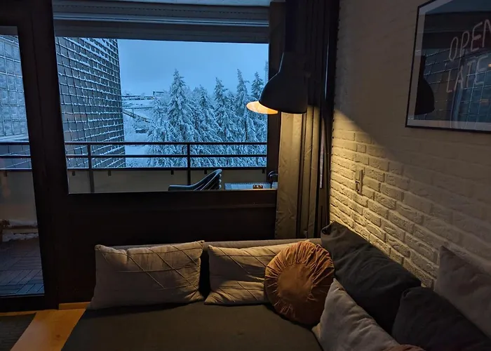 2minbikepark&ski - Loft Lotte - Bikes Lockable Apartment Winterberg